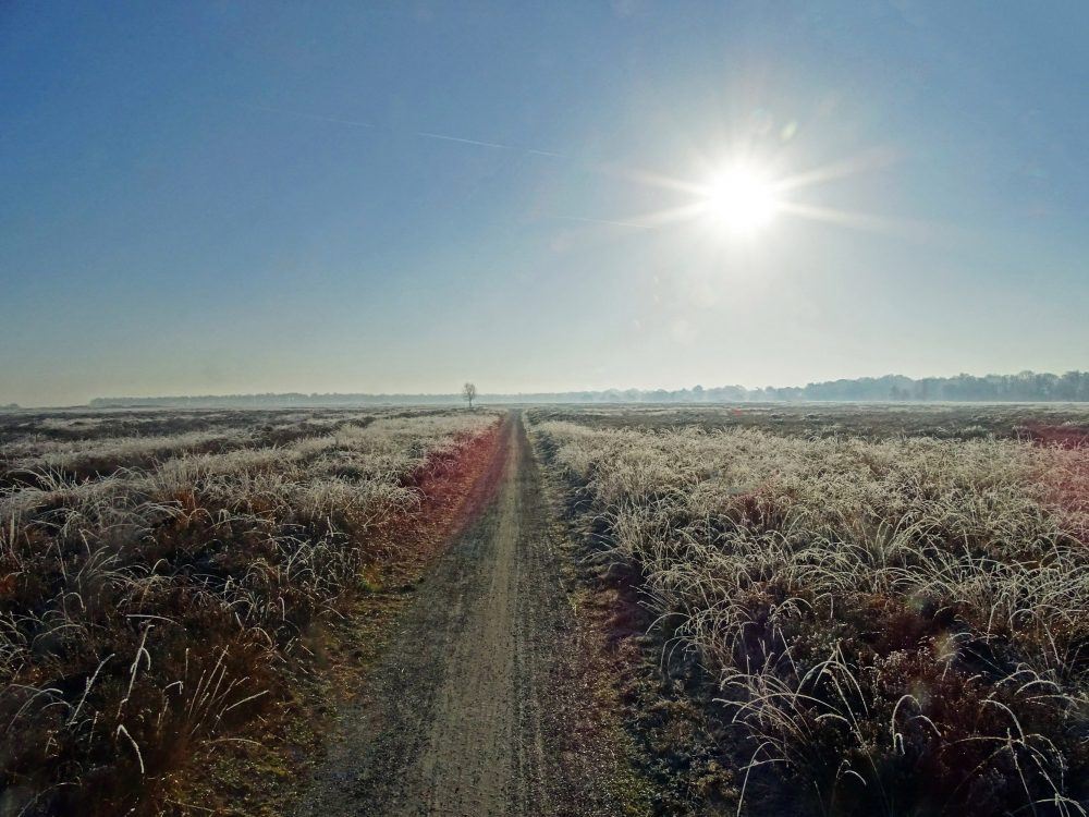 Noordsche veld